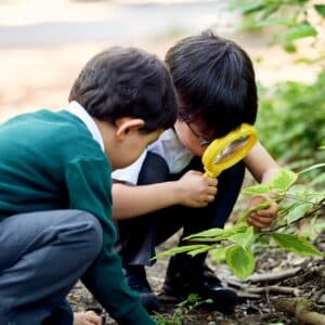 atelier botanique