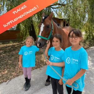 EQUITATION HORSE RIDING
