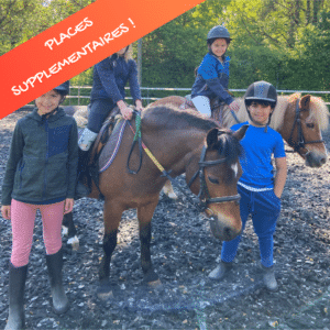 Equitation / horse riding