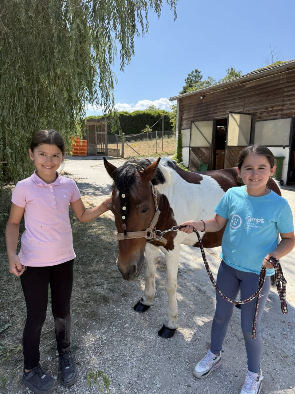 Camp équitation (toutes les semaines de camp)