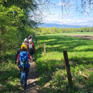 Exploration nature (7-11 ans) Journées complètes AM&PM